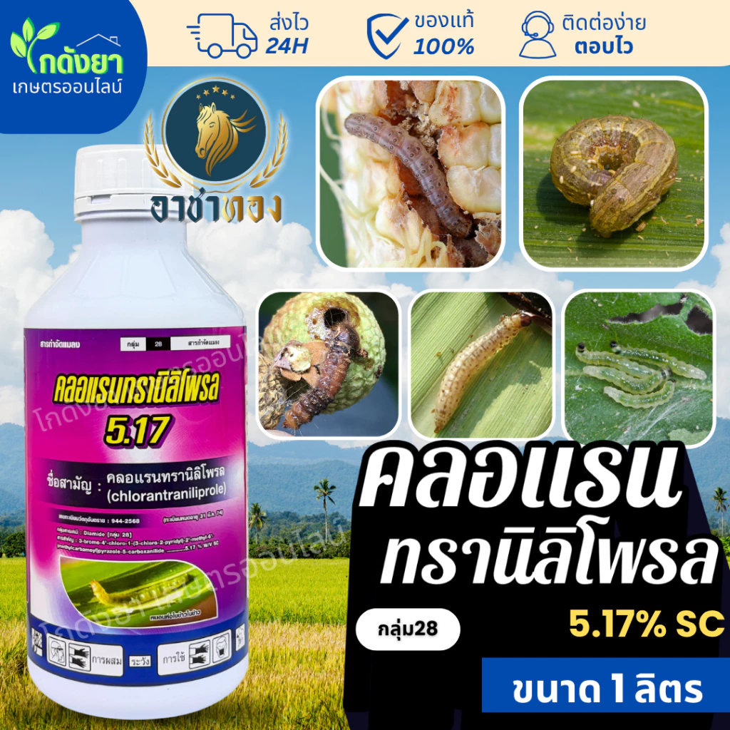 [เก่งหนอน] คลอแรนทรานิลิโพรล ตรา อาชาทอง 1ลิตร สูตรเย็น จบปัญหา หนอนดื้อยา