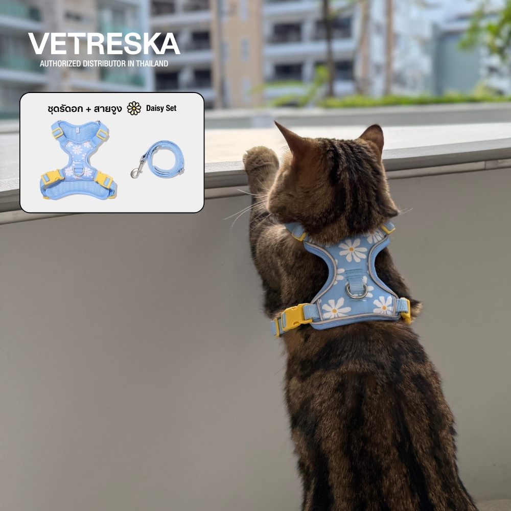 VETRESKA สายจูงพร้อมสายรัดอก ลายดอกเดซี่สุดน่ารัก DAISY PET HARNESS & LEASH SET