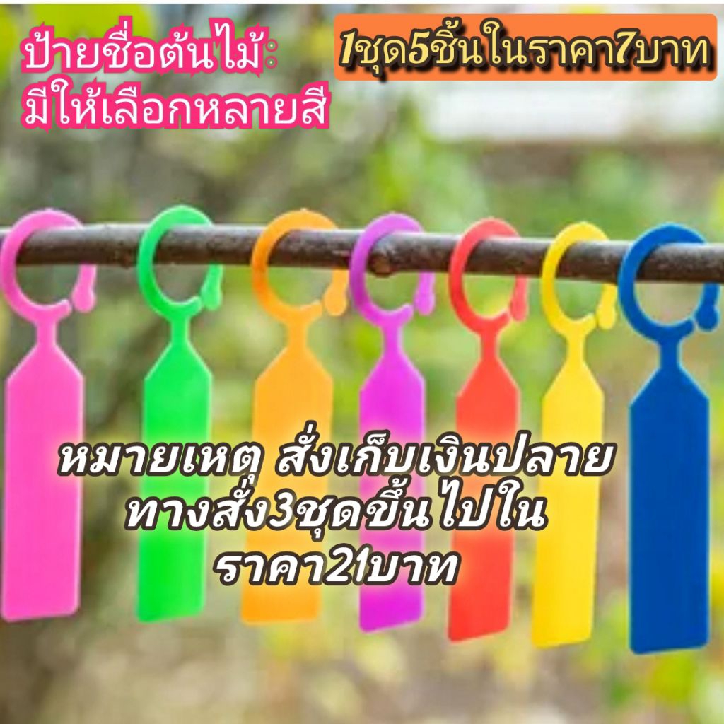 ป้ายชื่อต้นไม้แบบแขวนกิ่งชุด5ชิ้นต่อ1สี 💥หมายเหตุสั่งขั้นต่ำ10ชิ้น กรณีเก็บเงินปลายทางสั่งขั้นต่ำ20ชิ้นขึ้นไปเท่านั้น