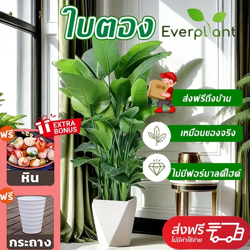 ☘️ซื้อ1แถม2🏡 ต้นไม้ปลอม ต้นไม้ปลอม ความจำลอง 99.9% ต้นไม้แต่งห้อง224cm/24ใบต้นไม้ปลอมใหญ่