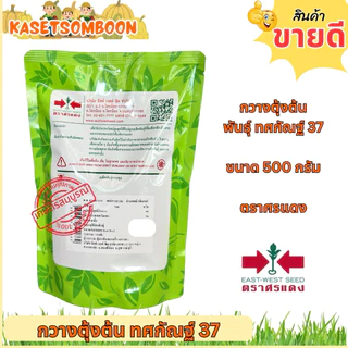 กวางตุ้งต้น ทศกัณฐ์ 37 เมล็ดพันธุ์ 500 ก. ตรา ศรแดง