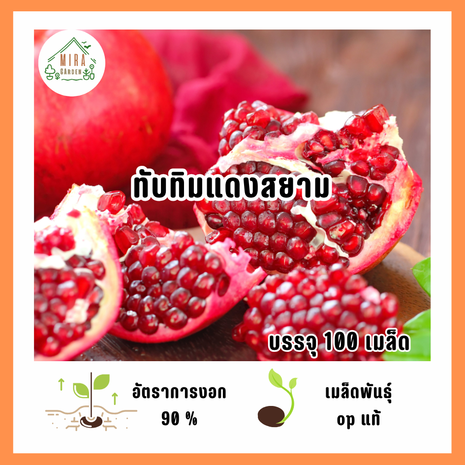 เมล็ดพันธุ์ทับทิมแดงสยาม 100 เมล็ด