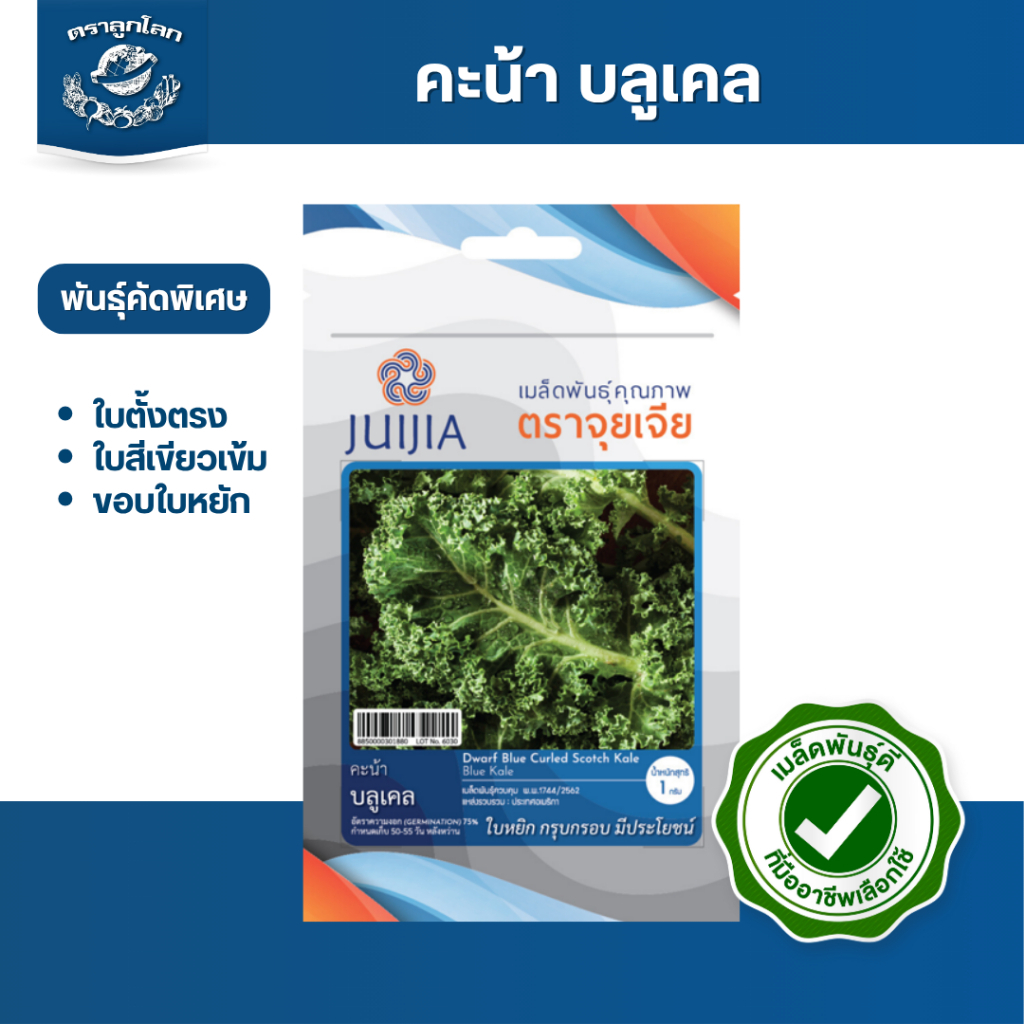 ตราลูกโลก เมล็ดคะน้า บลูเคล Kale เมล็ดพันธุ์ผัก ผักสวนครัว ผักซอง ลูกโลก 100กรัม ซองใสซิป