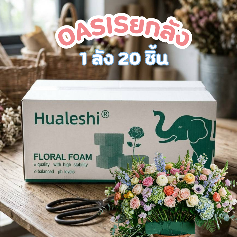 🌈ส่งยกลัง20ชิ้น🌈Hauleshi  20ชิ้นโฟมโอเอซิส  โฟมจัดดอกไม้