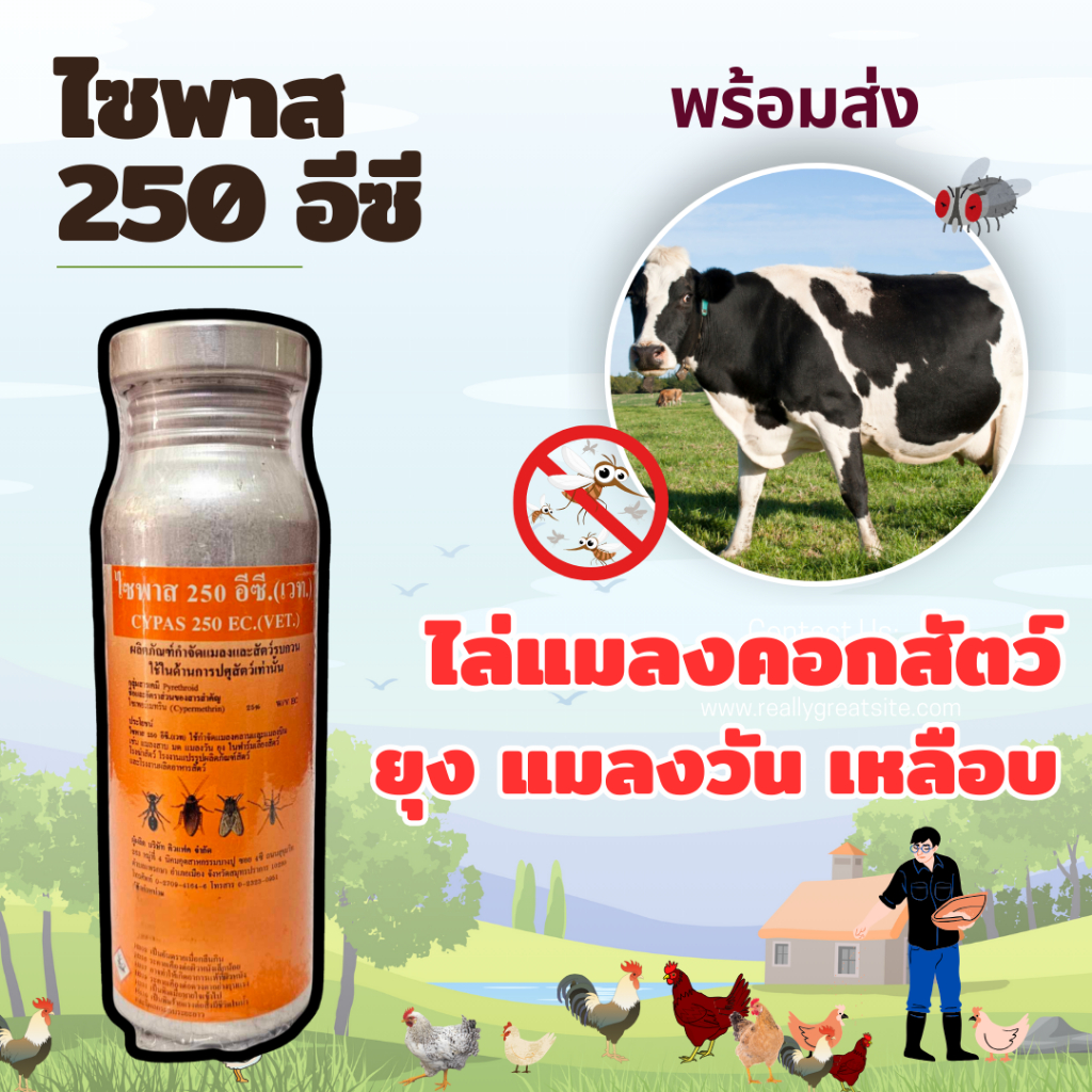 [ขวด 1 ลิตร] ไซพาส 250 อีซี.(เวท.)  ผสมน้ำฉีดพ่นกำจัดแมลงคลาน แมลงบิน เช่น มด แมลงสาบ แมลงวัน ยุง