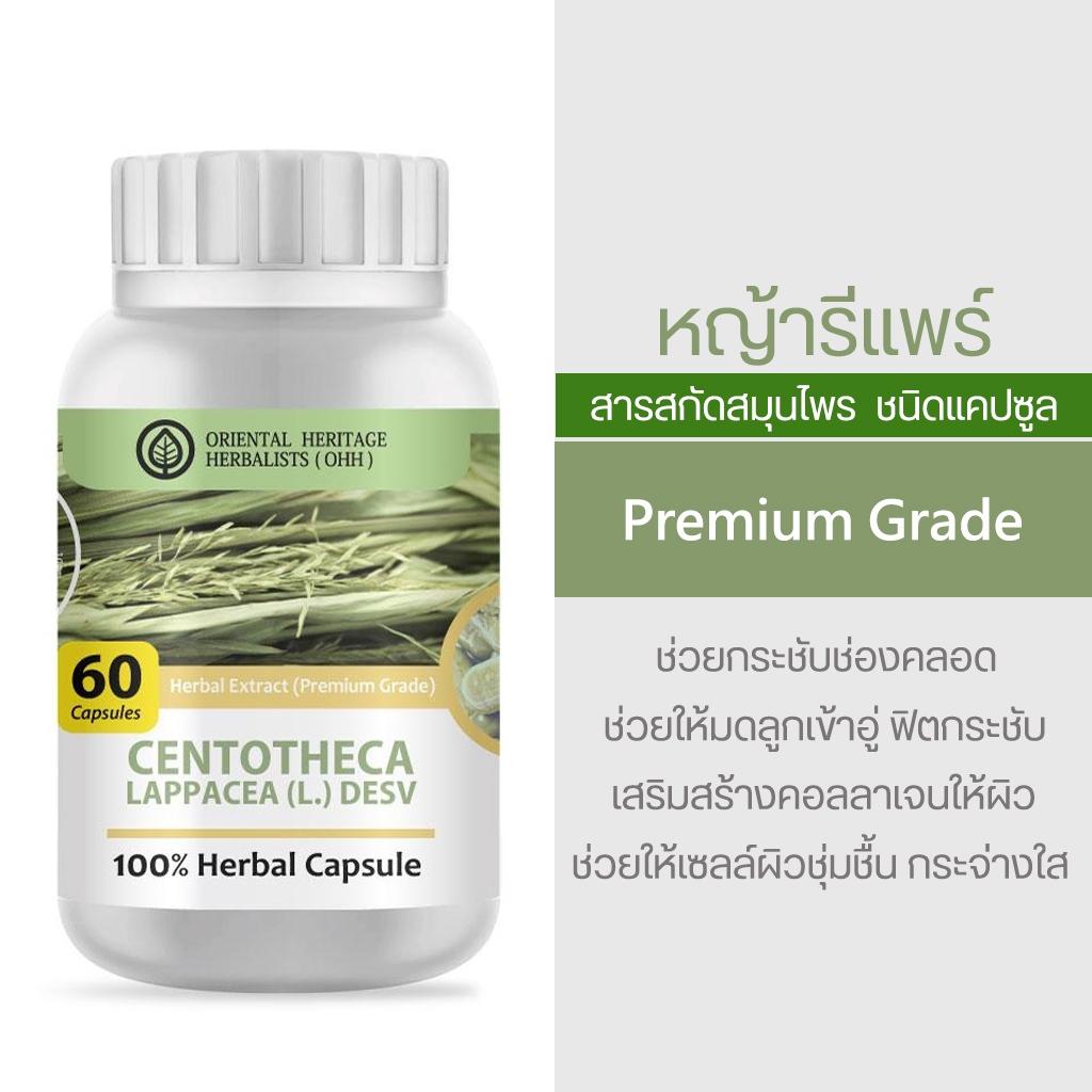 หญ้ารีแพร์ Centotheca lappacea Herb 100% 60 Cap. (เกรดพรีเมี่ยม) จัดส่งไว ส่งของทุกวัน