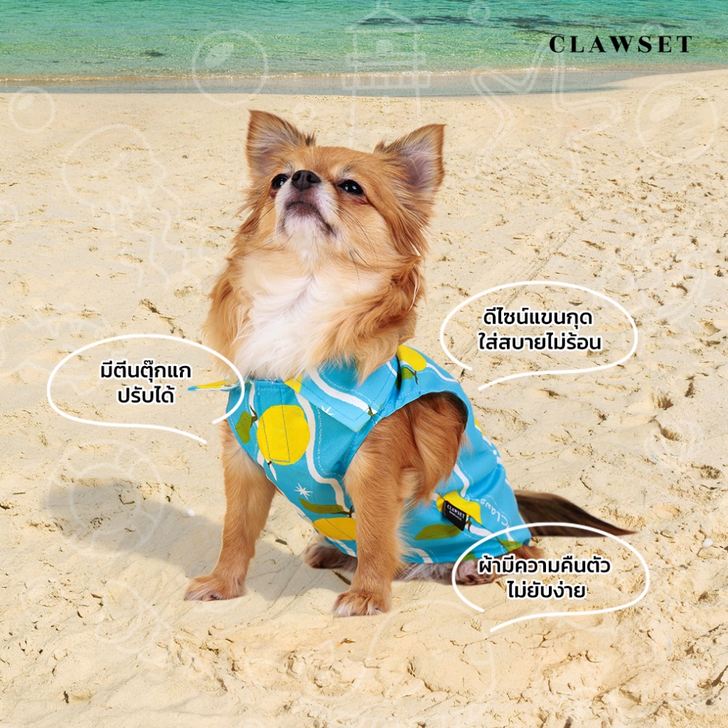 เสื้อหมาแมว เสื้อเชิ๊ตแขนกุด Hawaii Italian Sleeveless Shirt เฉพาะเสื้อสัตว์เลี้ยง | CLAWSET.BKK ราคา ถูกที่สุด ดีลบีเคเค แกลเลอรีภาพที่ 5