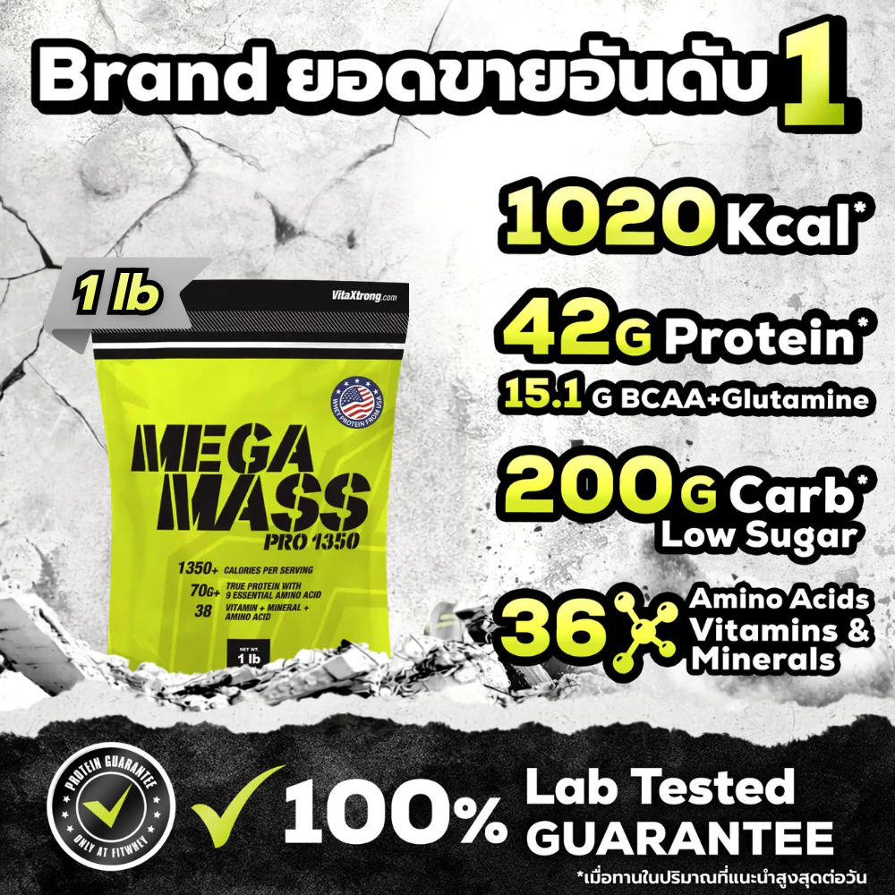 VITAXTRONG MEGA MASS PRO (1 LB) | MASS PROTEIN 70G
