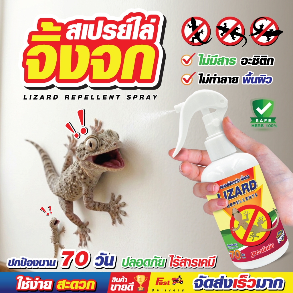 ไล่จิ้งจก ป้องกันจิ้งจก จิ้งจก ดีที่สุด Smartnow