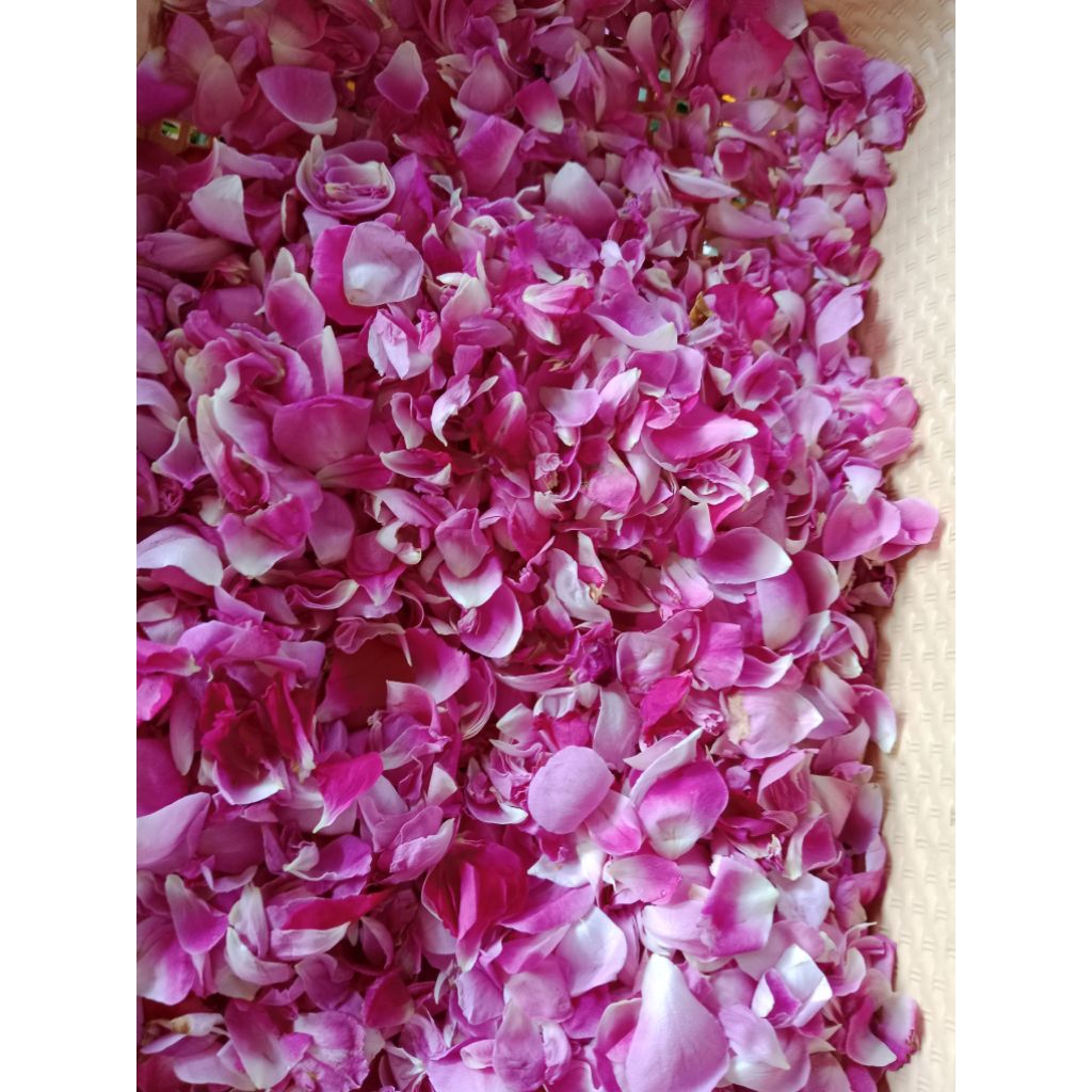 กลีบกุหลาบมอญออแกนิคตากแห้ง