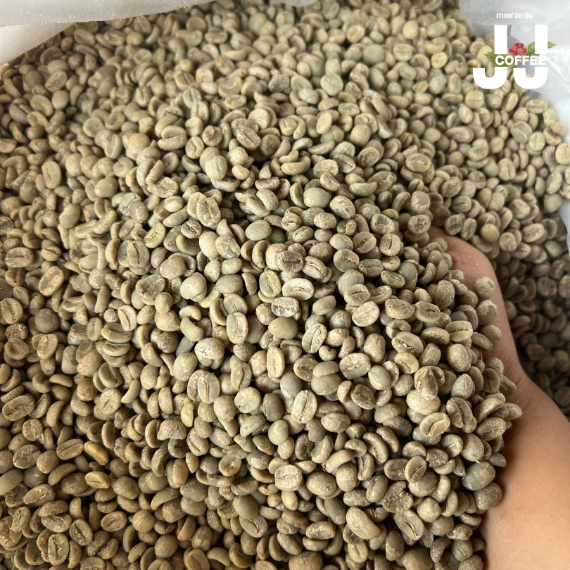 กาเเฟสารอาราบิก้าดอยช้าง ยกกระสอบ20KG (JJCoffee)