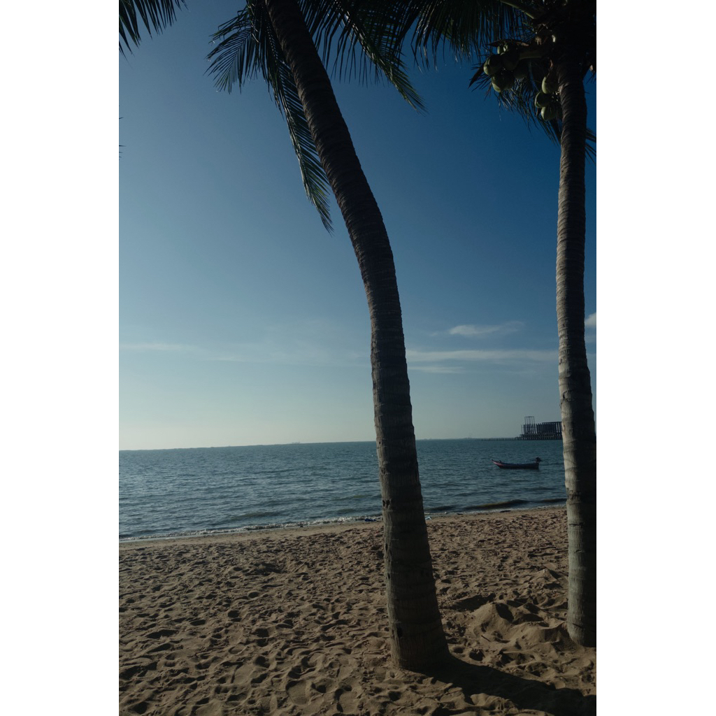 สำหรับราคาพิเศษไลฟ์สดเท่านั้น