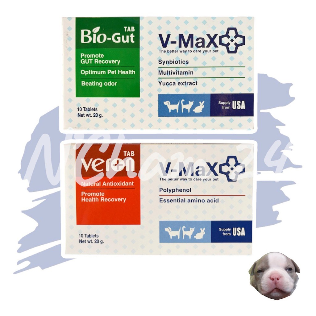 V-max Bio Gut / Veron บรรจุ 10 เม็ด อาหารเสริมช่วยระบบทางเดินอาหาร ช่วยแก้ปัญหาท้องเสีย