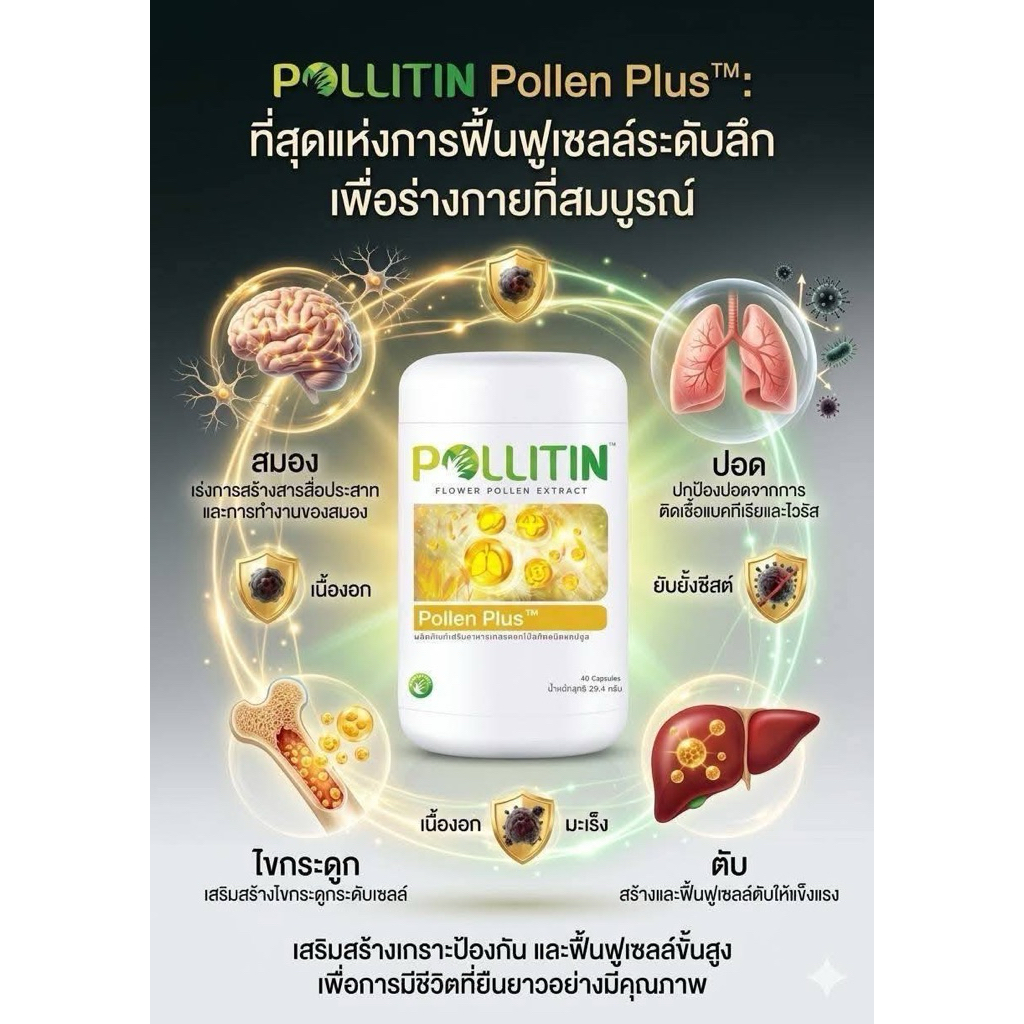 Pollen Plus™ (พอลเลน พลัส) ผลิตภัณฑ์เสริมอาหารเกสรดอกไม้สกัดชนิดแคปซูล