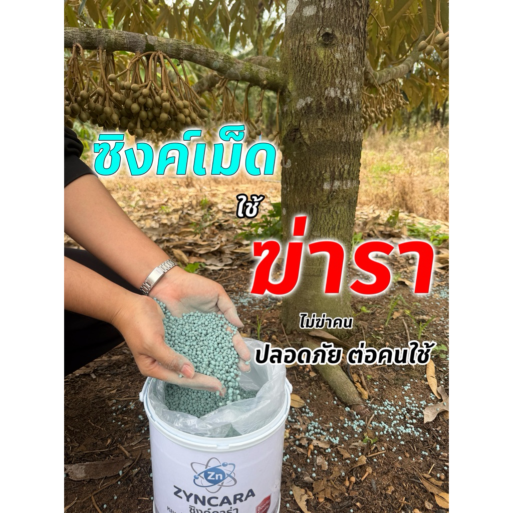 ซิงค์ คาร่า คุมโรคทันใจ ไม่ต้องรอ คุณสมบัติหลักของนาโนซิงค์ต่อเชื้อราในทุเรียน✅ #ซิงค์คาร่า #คุมเชื้อรา #คุมทางดิน