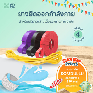 SOMDUL  ยางยืดออกกำลังกาย รุ่น FlexCore Pro สำหรับผู้เริ่มต้…