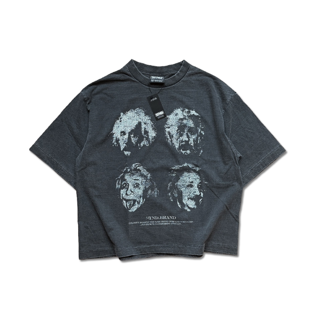STND09 Boxy T-Shirt “Einstein” เสื้อยืดครอปวินเทจ