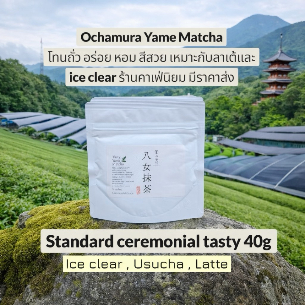 พร้อมส่งส่งตรงจากไร่* Ochamura Tasty Yame Matcha 40g (bag) โทนถั่ว หอมมาก ceremonial grade