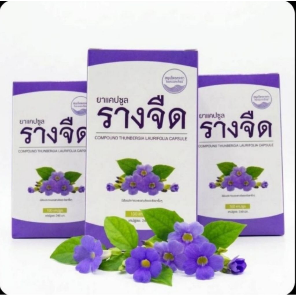 รางจืด แคปซูล 100 แคปซูล คงคาเฮิร์บ