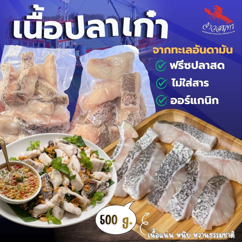 เนื้อปลาเก๋าทะเล แล่เนื้อ เก๋าสด อาหารทะเล เนื้อปลาเก๋าสด  500g