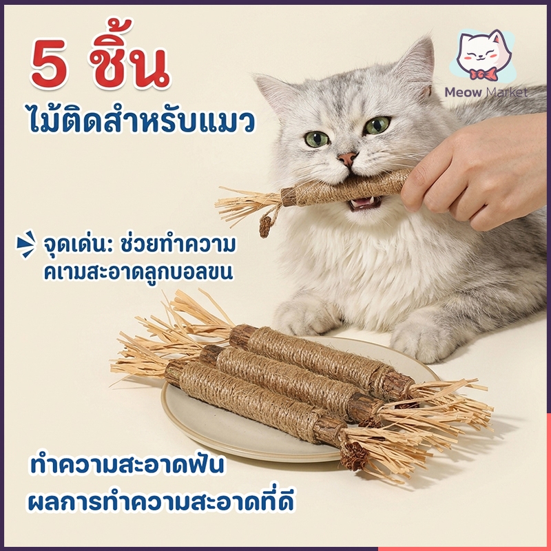 5 ชิ้น ขัดฟันแมว มาทาบิ สำหรับแมว อันใหญ่ ไม้ขัดฟันแมว ลดคราบหินปูน แคทนิปญี่ปุ่น ไม้แมวเมา ไม้ขัดฟัน