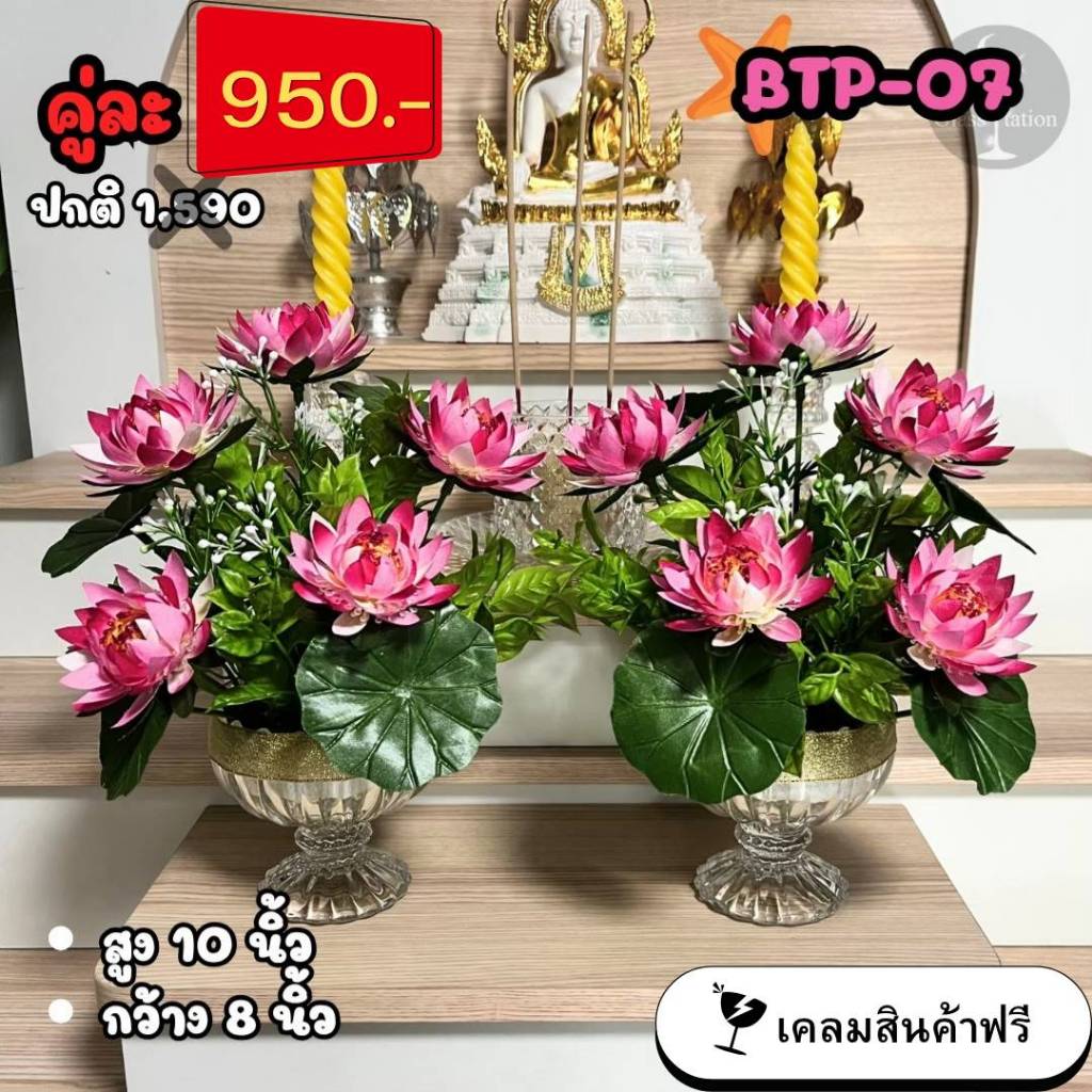 บัวเศรษฐี 5 ดอก สูง10 นิ้ว