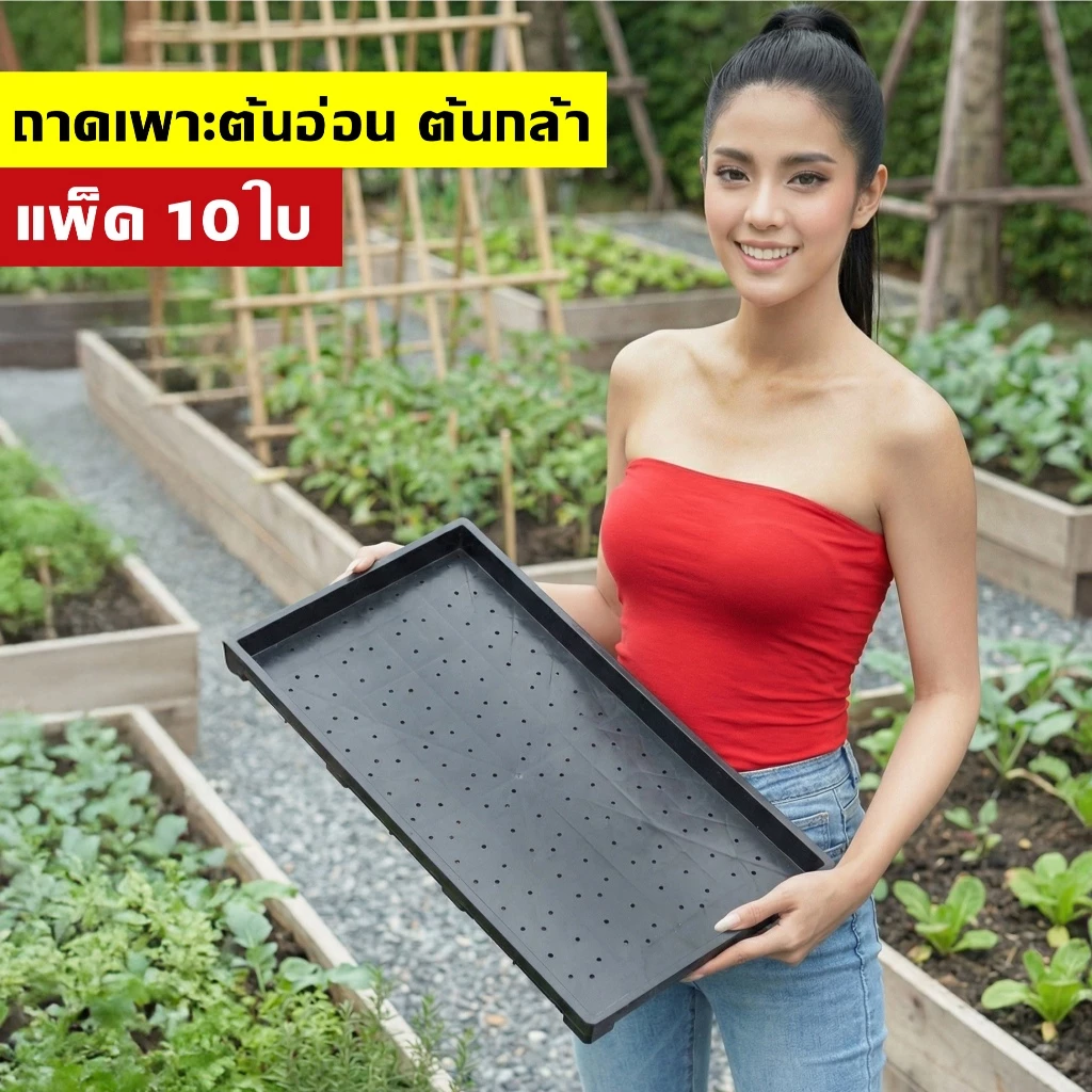 ถาดเพาะกล้าต้นอ่อน (แพ็ค 5-10ใบ) -มีรู- ใช้เพาะต้นอ่อนทานตะวัน เพาะต้นกล้าผัก เพาะต้นอ่อน - 0TPG