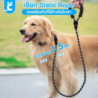 [ส่งฟรี🇹🇭] CleverPet สายจูงสุนัข แมว ยาว 150 cm สะท้อนแสง ด้ามจับฟองน้ำ นุ่ม ไม่เจ็บมือ Pet Leash Reflective