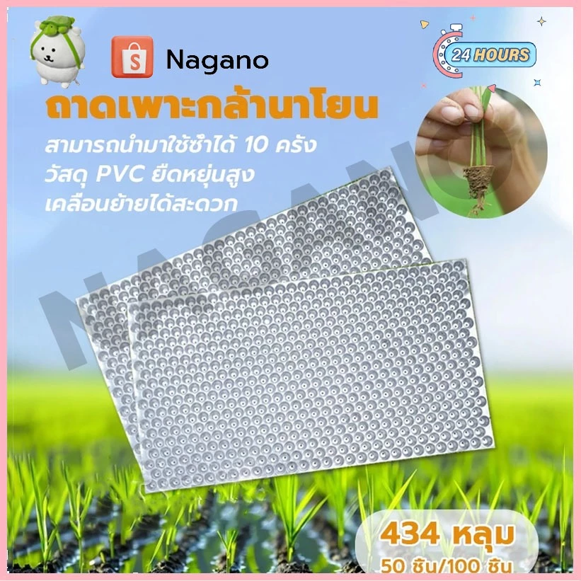 ถาดเพาะกล้านาโยน (แบบหนา) 434 หลุม50 ชิ้น100 ชิ้น ถาดกล้านาโยน ถาดเพาะกล้านาโยน ใช้เพาะเมล็ดข้าว