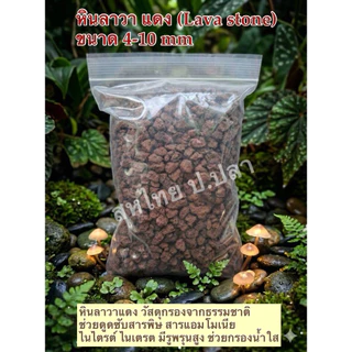 หินภูเขาไฟ ลาวา แดง (Lava stone)ใส่ในตู้ปลา ตู้กุ้ง จัดตกแต่งสวนภูมิทัศน์