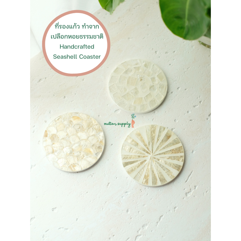 Natural seashell coaster ที่รองแก้ว ทำจากเปลือกหอย ธรรมชาติ