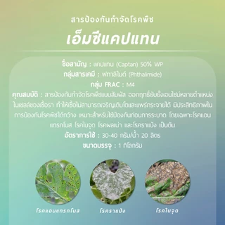 เอ็มซี แคปแทน ตราหัววัว (แคปแทน 50% WP) 1 กิโลกรัม
