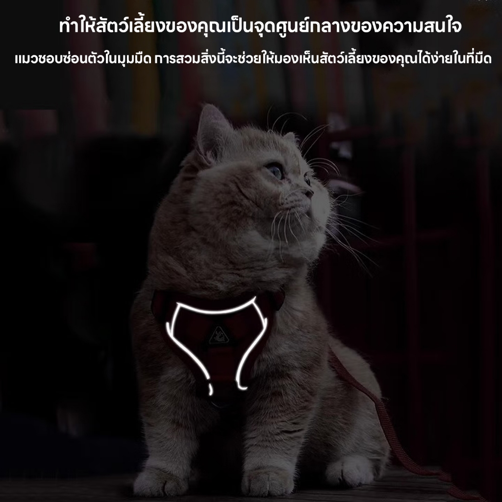 จัดส่งทันที เสื้อรัดอกพร้อมสายจูง เสื้อรัดอกสัตว์เลี้ยง สายจูงสุนัข หมา แมว มีแถบสะท้อน ทนทาน รูปที่ 6