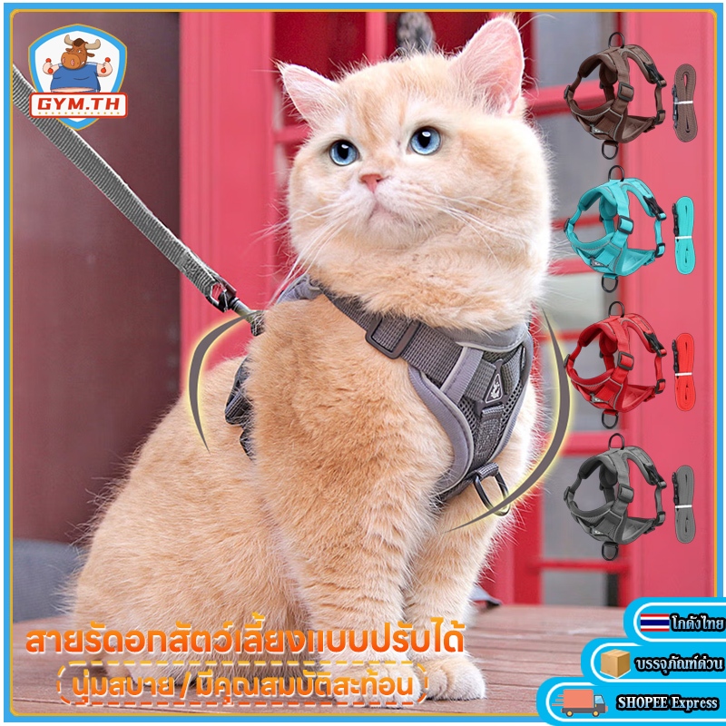 รีวิว เสื้อรัดอกพร้อมสายจูงแมว สุนัขเล็ก ปรับได้ ทนทาน ปลอดภัย เดินเล่นสบาย