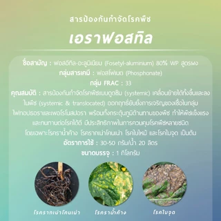 เอราฟอสทิล (ฟอสอีทิล-อะลูมิเนียม 80% WP) 1 กิโลกรัม