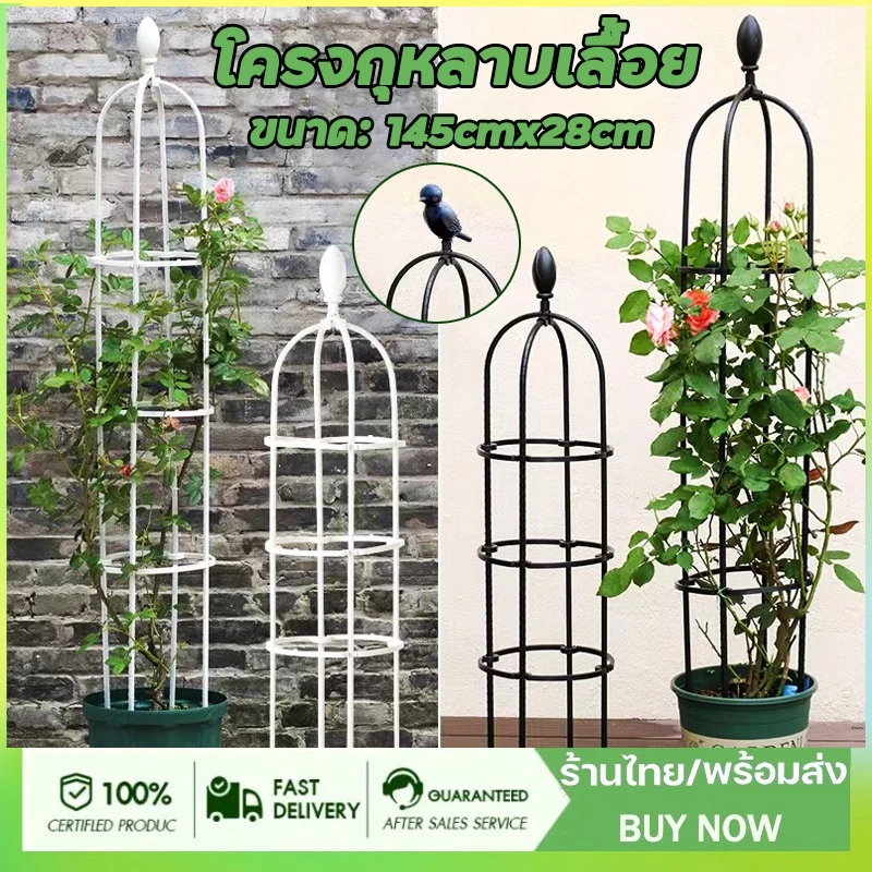 【จัดส่งฟรี】145cm*28cm โครงกุหลาบเลื้อย ซุ้มไม้เลื้อย เหล็กแข็งแรง ท่อเหล็กเคลือบ PE กันสนิม กระถางต้น