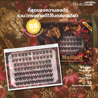 ใหม่ รวมตารุ่นฮิต 3in1 สี black chocolate จาก Eclate！สีคล้ายขนตาจริง ติดแล้วตาโต เนียน ละมุน ไม่โป๊ะ 1กล่องมี3ทรง