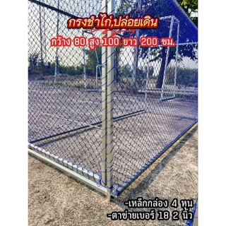 (สินค้าเหล็กกล่อง)กรงชำไก่ชน,ปล่อยเดินได้ 80 * 100 * 200 cm