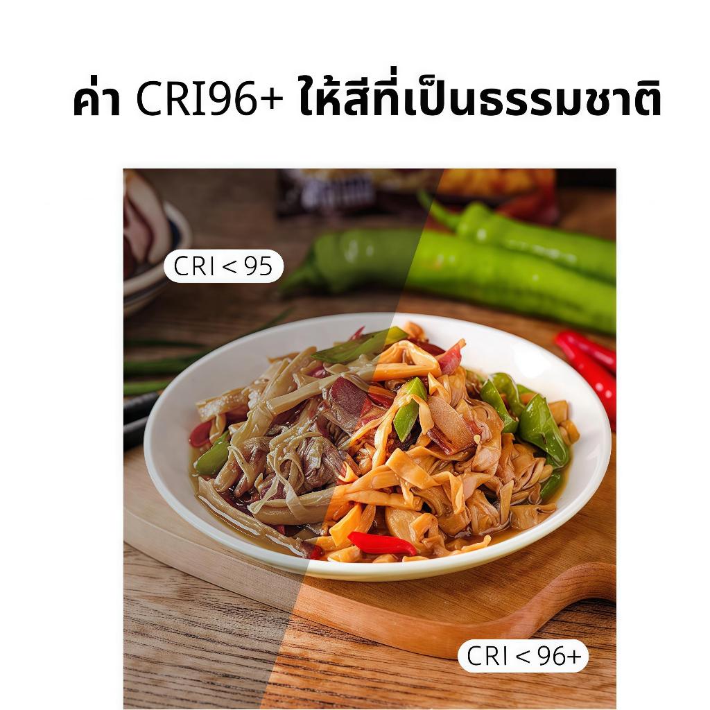 ไฟวงแหวน LED YM300 ใช้งานได้หลากหลาย camera light stand รูปที่ 8