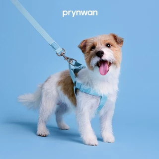 PRYNWAN Pets - Dog Harness Tone On Tone สายรัดอก สัตว์เลี้ยง