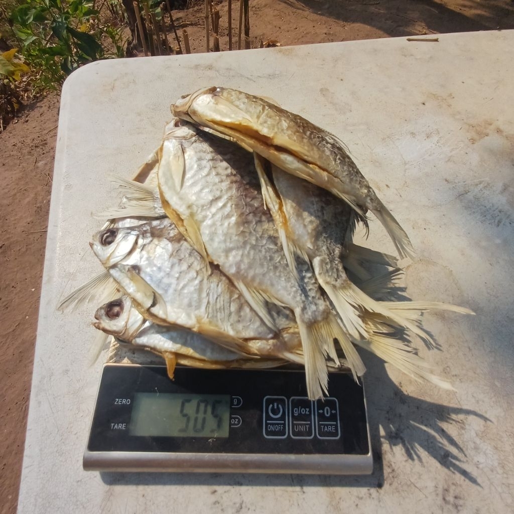 dried fish 500g Mekong