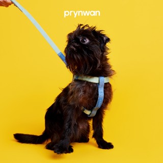 PRYNWAN Pets - Dog Harness Two Tone สายรัดหน้าอก สัตว์เลี้ยง…