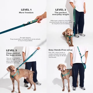 PRYNWAN Pets - Dog Leash Tone On Tone สายจูง สัตว์เลี้ยง