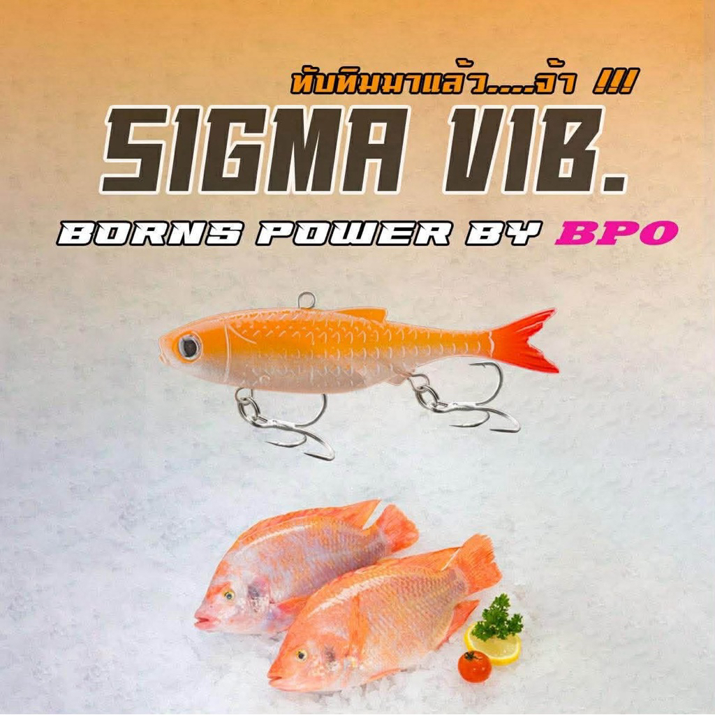 ปลายางBORNS รุ่น SIGMA ขนาด7.8cm