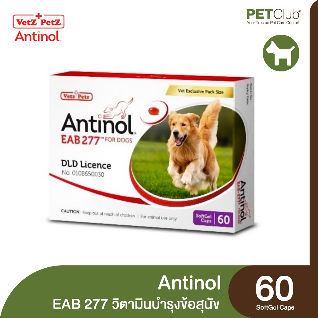 Antinol EAB 277 60 แคปซูล อาหารเสริมบำรุงข้อและกระดูก ลดอักเสบสำหรับสุนัข