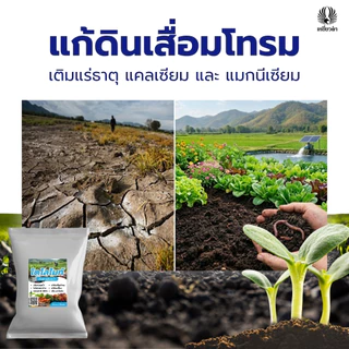 โดโลไมท์ผง 1ถุง ขนาด 2 กก. สารปรับสภาพดิน สารปรับสภาพดน้ำ ปรับ pH ดินและน้ำ บำรุงราก ตราเหยี่ยวดำ