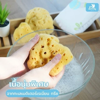Mummily ฟองน้ำ SILK FINE ฟองน้ำธรรมชาติแท้100% ฟองน้ำอาบน้ำเด็ก