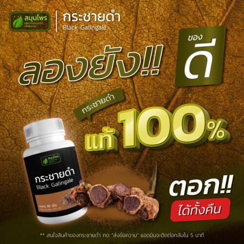 กระชายดำแท้ 1กระปุกมี30แคปซูล สมุนไพรบำรุงร่างกาย ปลอดภัยทานง่าย