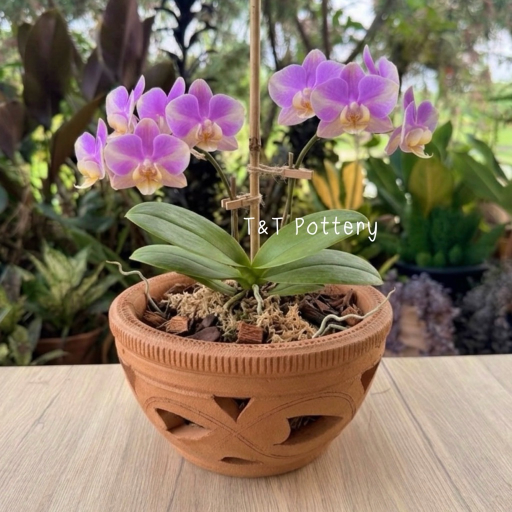(กระถางฉลุลาย) กระถางกล้วยไม้ดินเผาแบบฉลุลาย งานสวย งานปั้นมือ แข็งแรง ทนแดดทนฝน