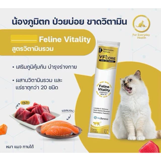[13สูตร] วีเอฟคอร์ อาหารเสริมแมว-สุนัข บำรุงร่างกาย ‼️ คละได้ ระบุในช่องหมายเหตุ‼️